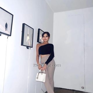 trans girl Hollyzoe 8025456