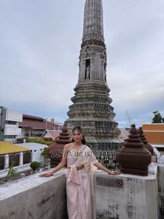 trans girl Hollyzoe 8025521