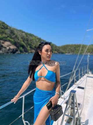 trans girl Honey69 6988020