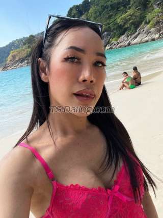 trans girl Honey69 6988102