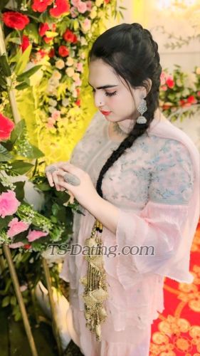 trans girl Honeybaby1 4458923