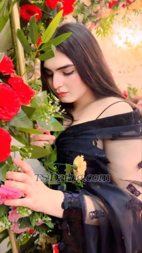 trans girl Honeybaby1 4458941