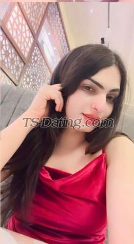 trans girl Honeybaby1 6805845