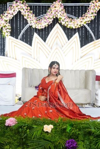 trans girl Honeytrans girl 1935908
