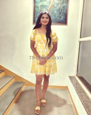 trans girl Honeysonu 6141872 trans girl Honeysonu 6141872