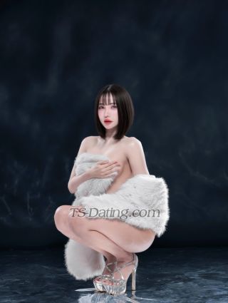 trans girl Honeysweet 8733784