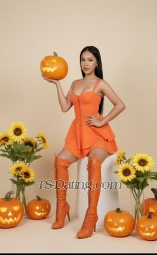 trans girl Hornytopangel 9640277