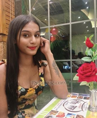 trans girl HotAkhi 6389410