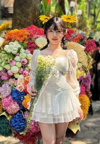 trans girl Hotestvietnam 9404778