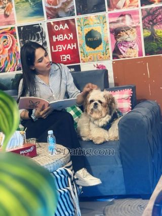 trans girl Hotikku 3827213