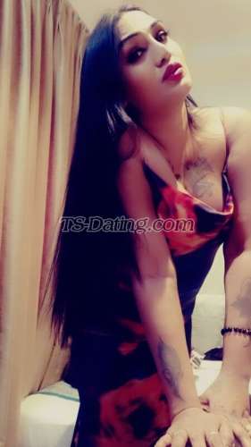 trans girl Hotsakshi 3509792