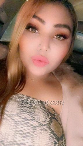 trans girl HottNancy 3828520