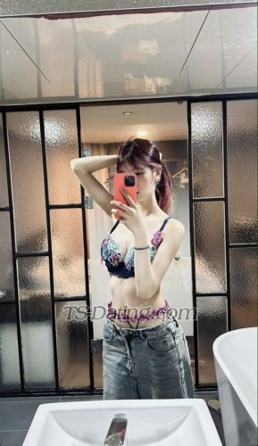 trans girl Hshshsb22 1542746