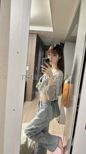 trans girl Hshshsb22 6659964