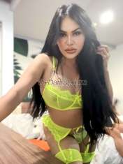 Hyiraa Batam Transex Hello Hyiraa here strong cock  IN   Johor To Give You Good sex Service And Experience The Best Sex that You never Experience.....
With My Strong Cock
Avail My Full ,,,  CAN party evryting

MILKY COck , good for THREESOME , (COUPLE WOMEN AND MEN AND TRANS) 
Swipe all my pictures and see a good size 🍌 💦 
My name is hyira 
COMMUNICATE , Exclusive model , your SECRET FANTASY DONT HESITATE TO LEARN NEW THINGS AND DISCUSS YOUR FANTASY WITH ME . 
“
Welcome in my profile , my world and see Real more pictures and Real reviews that you wouldn’t hesitate to meet and touch. ✅ Whatsapp me 

🤩WHAT YOU SEE IS WHAT YOU GET ✨ 
 Hyira SHEMALE MISTRESS SEXY BIG DICK FOR YOU 😈

🤜🏽💝SERVICES TO PROVIDE 💝🤛🏼

(Condoms is a must) 
Lets be all play-safe and it will benefit for all of us♥️🙏

☘️VIRGIN ASS EXPERIENCE (firsttimers) 
☘️MASSAGE (oil) 
☘️TOP and BOTTOM (moreTop) 
🍀GF EXPERIENCE 
🍀3SOME 4SOME (couple, trans, man, woman , bisexual) 
🍀TO SUCK AND GET SUCK 
🍀69 
🍀DOMINATION 
☘️MISTREESS 
☘️GOLDEN SHOWER 
🍀ASSFUCK (HARD ,SLOW) 
☘️MOUTH CUMMING 
☘️RIMMING 
🍀LICKING 
🍀STRIPTEASE 
🍀OWO (oral without condom) (depends after i check 😉) 
🍀ROLEPLAY 
🍀ORAL SEX 
🍀COB (comeonBody) 
🍀CIM (comeinMouth) 
🍀CUM FACIAL 
🍀BOOB CUMS 
🍀ENSLAVING 
🍀SPITS 
🍀SLOPPY BLOWJOB 
🍀FETISH CLOTHES (satin,fishnets, leather,pants,tightdress,skirts) 
☘️HEELS fetish 
☘️STOCKINGS FETISH 
🍀CAMSHOW 
🍀POPPERS 
☘️DILDO TOY

ABOUT ME: 👋 👧

FOR PEOPLE WHO HAS NO BULLSHITS IN MIND MY PRESENCE IS FOR YOu 🥂✨

Hi my name is hyira .✨📸 (Instagram @callmepenyapu) ✨ 

I am one of a kind hearted person you ever met in real life regards of ANY secret fantasy you ever wanted to confess (sex, lovelife,etc) i am easy going and very open minded. I am professional when it comes to dealing with people as long as you explain it very well and i like to be precise to avoid misunderstanding

Also i wanna make sure my clients always feels comptable with me , for instance we dont need to start right away in bed scene unless you tell me if you feel wanna talk first or in reverse ( sex then talk , or just sex and leave. Im ok with that) as long i made sure that every penny 💰 you gift to me is worth paying for on your own will, 
mainly no regrets as happy as ever after.

I have so much trust issues of people who only gathered pictures and waste my time . Please be nice to me as i always try to be nice to everybody. (GOLDEN RULE)👩‍🏫

💫Anyway✨You’re approaching your wildest fantasy ! One of the hottest shemale you can ever find ! Talk to 
Her anytime ,fluent in English 💫✨ 
And the most special thing about her is the way she performs is absolutely stunning and can make anyone go crazy madness with lustfull body curves and big shecock.

🌟💫She looks fabulous ,💫 sultry and is true professional as far as escorting or camgirl is concerned. My previous job was virtual as Camgirl if youre interested you can check me out to my excisting cam site , (just to