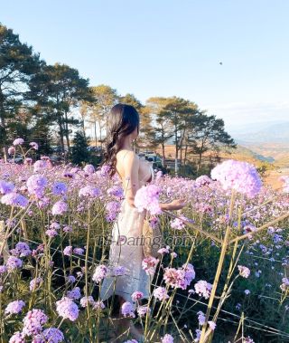 trans girl Hyunarcha 3769152