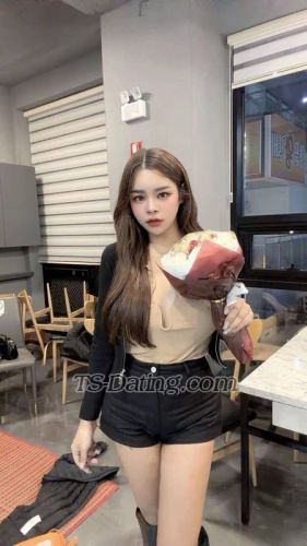 trans girl hanami 2890208 trans girl hanami 2890208