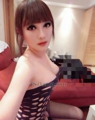 hotshebe Shanghai Transex Be healthy and strong! Accept on-site HIV test strip
testing!only top、i can cum have  SM
toys、tmaster、 top BDSMcock is long-lasting and
ejaculates a
lot.wechat：smjolintelegram/@leelee231whatsa
pp：+852 54977460Real selfies! Refuse to use AI photo
retouching! 