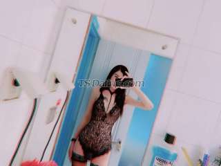 trans girl hotshebe 8852483