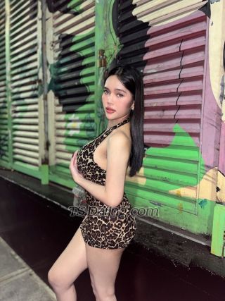 trans girl humpreylopez 0567748