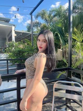 trans girl humpreylopez 2187507 trans girl humpreylopez 2187507