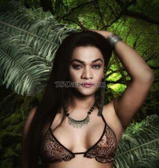 trans girl INDIANTRANN 0793207