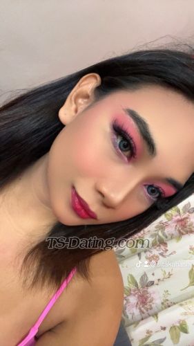 trans girl Imyoursell 5307271 trans girl Imyoursell 5307271