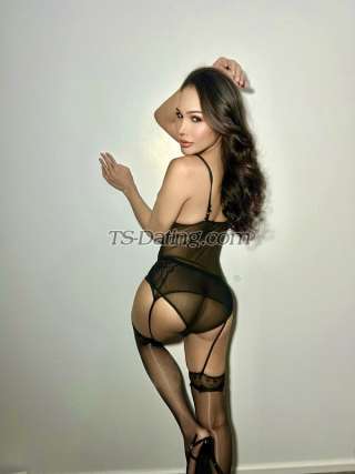 trans girl Ink6565 9249534