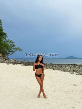 trans girl IsabellaSweet 6251063 trans girl IsabellaSweet 6251063