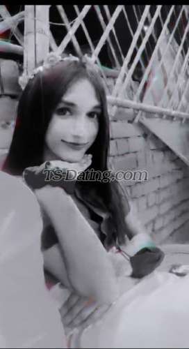 trans girl Isha19 7972376