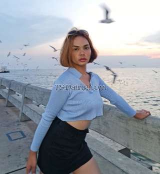 trans girl ItimYummy 3744517 trans girl ItimYummy 3744517