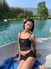 iissummer Bangkok Transex 
