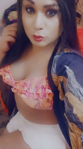 trans girl indianspicy 7899894 trans girl indianspicy 7899894
