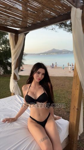 trans girl itsemilie 3585914 trans girl itsemilie 3585914