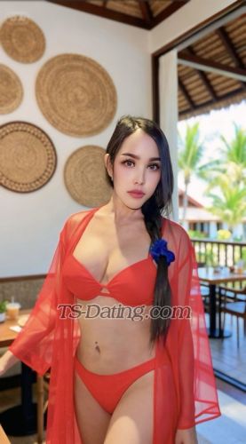 trans girl JELITACaroli 6638573