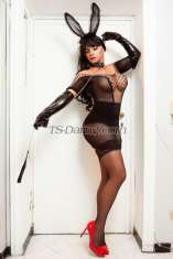 Jady cubana Milano Transex LA BOMBE LA PLUS SEXY Le Cubain le plus puissant et le plus doté est arrivé !! VRAIMENT doué, photo réelle et chaude 100% sans arnaque, ma promesse : entrer dans votre esprit, réaliser et transformer vos rêves et vos désirs en réalité. 1,80 de haut, 25 cm bien réel, très très chaleureux et surtout patient.. Je t'ouvrirai déjà nu avec ma bite déjà en vue... 💥Belle salope sans égal... jument transgressive... toute à monter... très désireuse et toujours prête !!!!sensuelle... Féminine... ouverte à tout !! avec un bâton de feu toujours chargé et plein de crème💥 J'ai une très grosse bite J'ouvre la porte avec la bite dehors pour qu'il commence à sucer ma tige correctement 100% photo réelle 🔥Je suis plus active (je te fais du bien jusqu'au bout).... aussi passive (une vraie femelle douce et délicate).... également disponible pour le festina 💥💥 🤩 pour les hommes et les couples