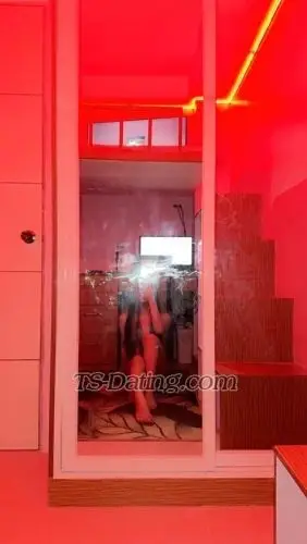 Shemale Jamibear 7938646