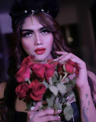 trans girl JanviTgirl 3279684