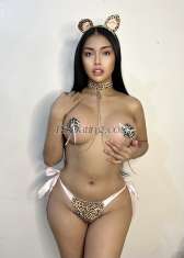 Jasmine10 Bangkok Transex Hello im Jassy Top and Bottom Mexican/Filipina— a
sophisticated and sensual TS companion who values real
connection and meaningful moments. I’m more than just a
beautiful presence; I bring warmth, conversation, and a
genuine desire to make you feel special and
appreciated.

I love meeting people with different
personalities and stories — it adds depth and excitement
to every encounter. For me, it’s not just about physical
intimacy; it’s about creating a romantic and unforgettable
experience, where you feel like you’re with someone who
truly cares.

I offer comfort, companionship, and
memories that feel natural — like being with a real
girlfriend. Your happiness, satisfaction, and most of all,
your safety, will always be my top priorities.

Let
me be your escape, your peace, and your pleasure. ✨


Im also offering camshow or private content just
message me on WhatsApp or Telegram

‼️WHAT YOU
SEE WHAT YOU GET‼️

I am 23 years old

Morena skin 
Cup size 36D 
Curvy body

Sweet girl
Fully functional


Do's:
•Sucking/69
•Fucking/FlipFucking

•Receive Rimming
•Cum On Face
•Cum On
Body
•GFE 
•French Kiss
•Soft
Romantic
•Safe Sex
•Sissy Feminization

•Blowjob
•BDSM/DOMINATRIX
•Golden
Shower
•Anal Sex
•Deep Throat
•Camshow


Don'ts:
•Give Rimming
•Cum
Inside
•Cum in mouth

NOTE: 
•No direct
calls just send me a message first.
•Videocall before
meeting is mandatory.
•Safe sex is a must.