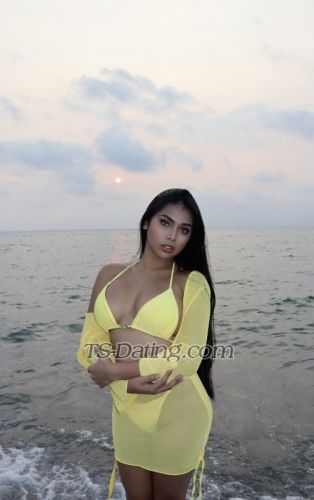 trans girl Jasmine10 3340814