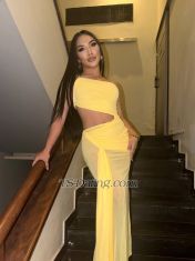 Jasmine Sohot Abu Dhabi Transex ✨✨New ladyboy in Abu Dhabi ✨✨Hi darling
I’m Jasmine 25 years old  I’m working in spa massage
I’m in Abu Dhabi from Thailand 🇹🇭I’m available
incall and outcall baby, I am fully active and
passive,,,I am so sexy curvy good ass  good taste
dick good size for you , I’m Thai ladyboy 165cm and I’m
versatile. I can do both top and bottom with 6.5 inches
…,I have a sweetest personality with a down to
earth sense of humor. I will make good experience with you.
I am ready for you now.  so i am safe for meet up
😉Let’s make us happy together bibi  See ya
darling…🤍