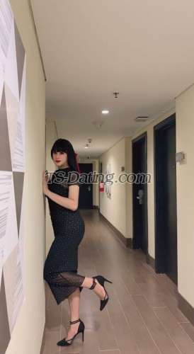 trans girl Jenifer14 7991673