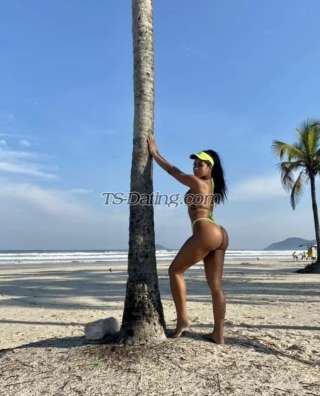 trans girl Jenifer25 8168292 trans girl Jenifer25 8168292