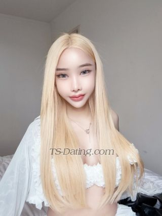 trans girl Jenny0000 2588749