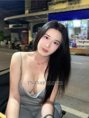 Jenny TS Penang Transex Im Jenny small young & pretty ts, i from Thailand 😘 im good sucking stand up, my body very good but big boobs 👅 i can Top & Bottom . Dm me if u interested

Contact me ✨
Whatsapp : +66822640045

(🍌💦 Hope to meet you soon💦🍌 )