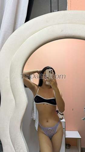 trans girl Jess24 9449490