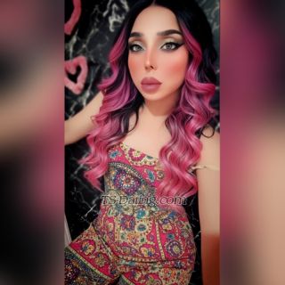 trans girl Jessgeo 7329460 trans girl Jessgeo 7329460