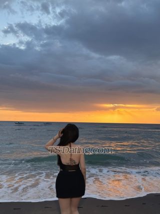 trans girl Jessicalim211 0686208