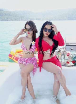 trans girl Jessyka4242 3333998