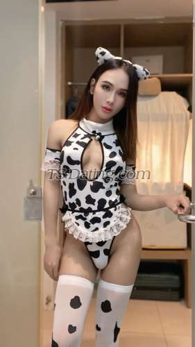 trans girl Jessyladyboy 3531930
